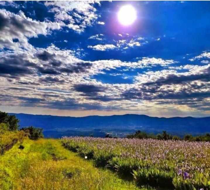 Apartmán Casa Chianti 47 Mercatale Val Di Pesa Exteriér fotografie